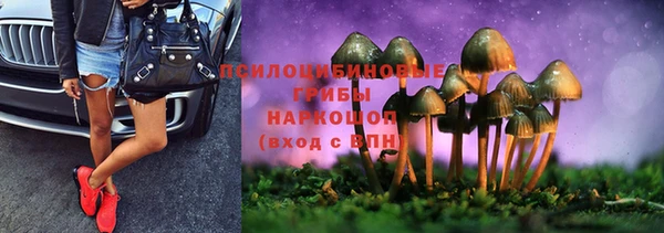 хмурый Алексеевка